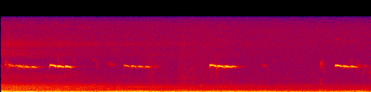 Spectrogram