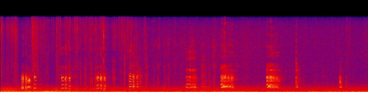 Spectrogram of Graylag Goose call