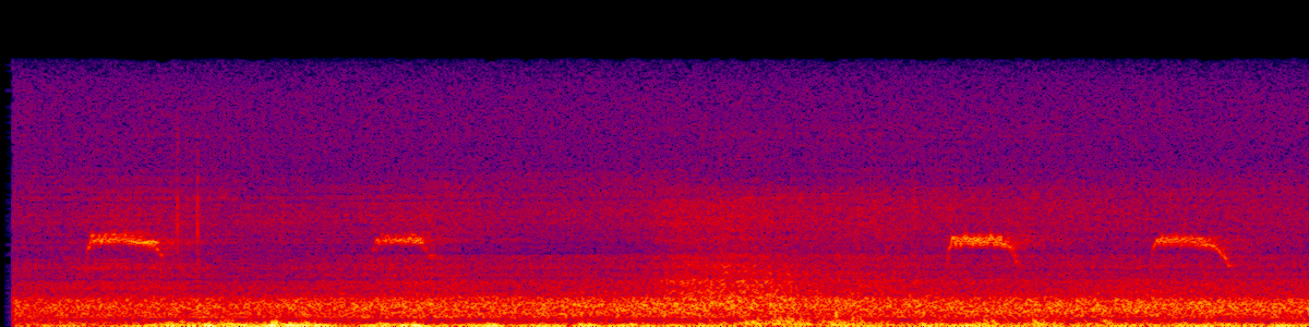Spectrogram