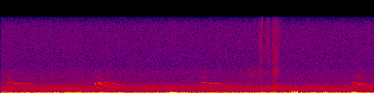 Spectrogram
