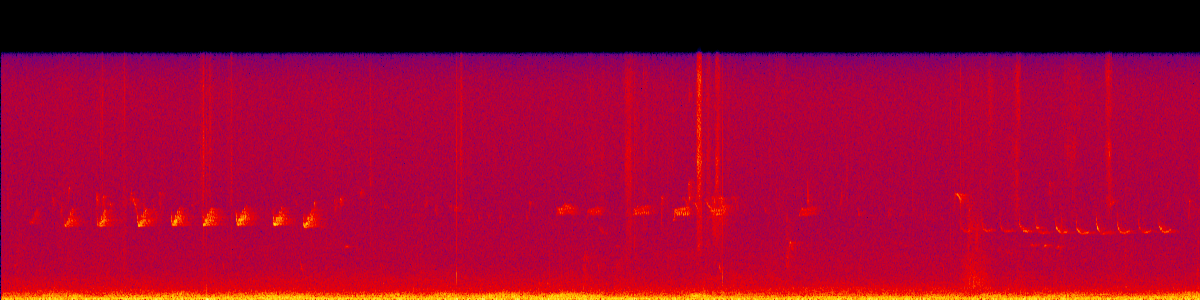 Spectrogram