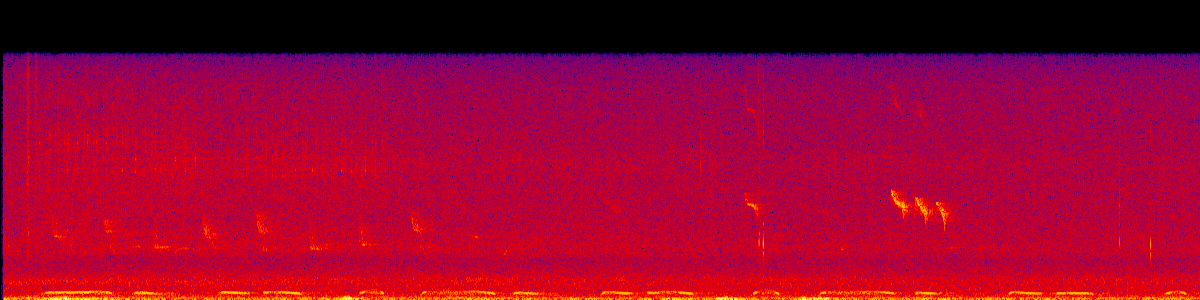 Spectrogram