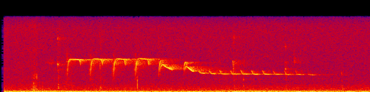 Spectrogram