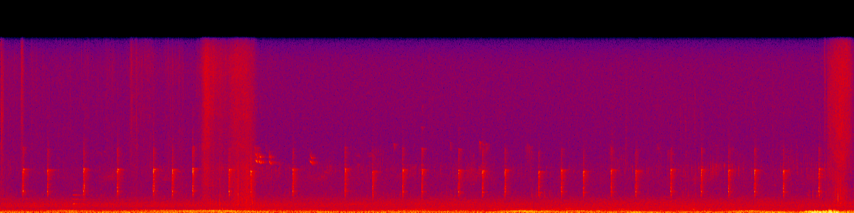 Spectrogram