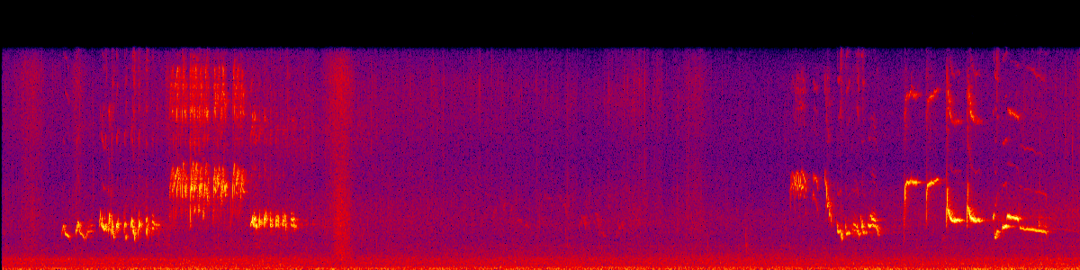 Spectrogram