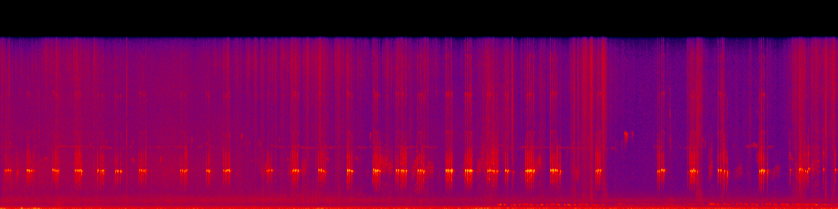 Spectrogram