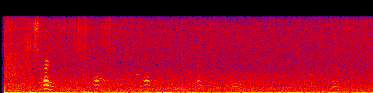 Spectrogram