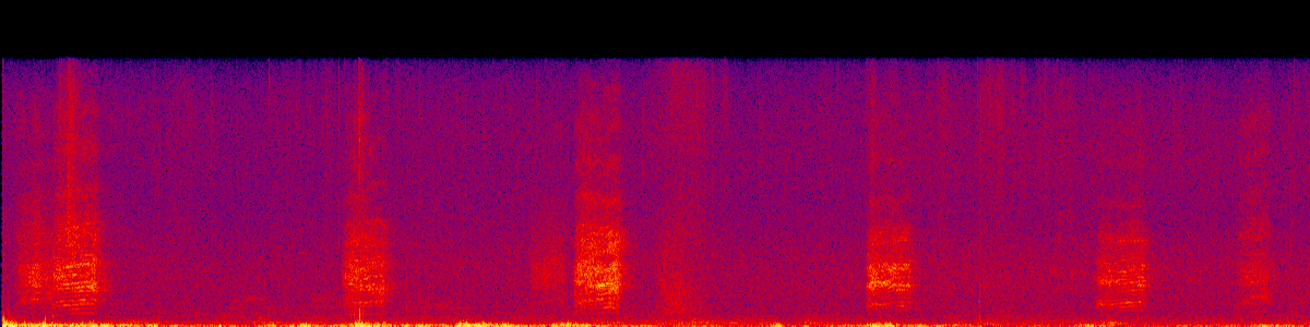 Spectrogram
