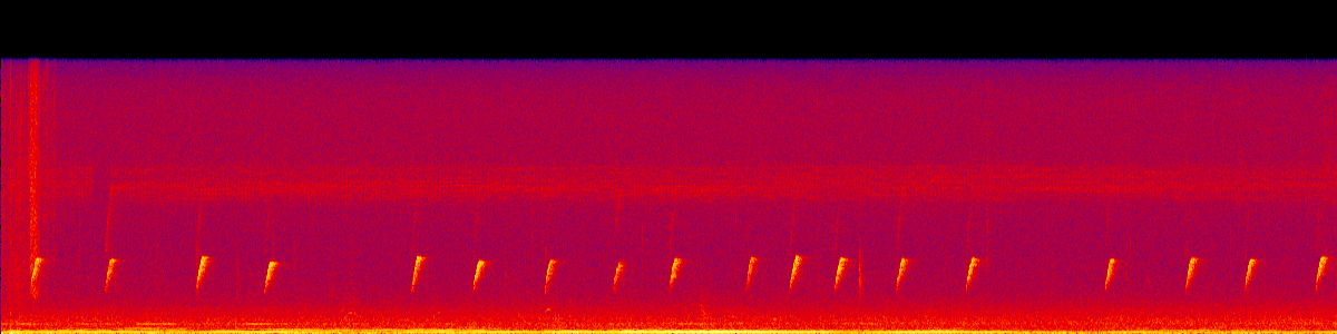Spectrogram