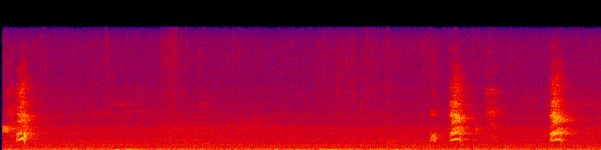 Spectrogram