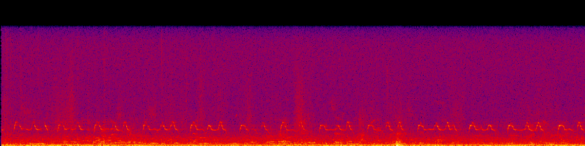 Spectrogram