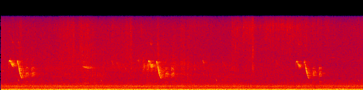Spectrogram