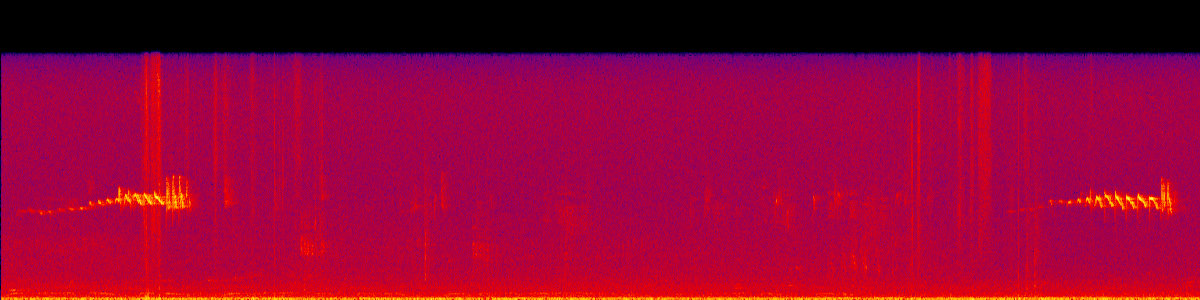 Spectrogram